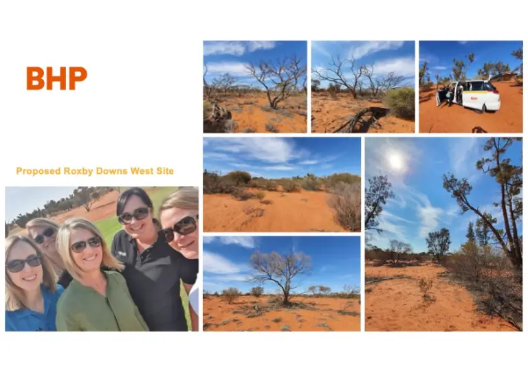 Proposed Roxby Downs West site Olympic Dam accommodation study field assessment South Australia