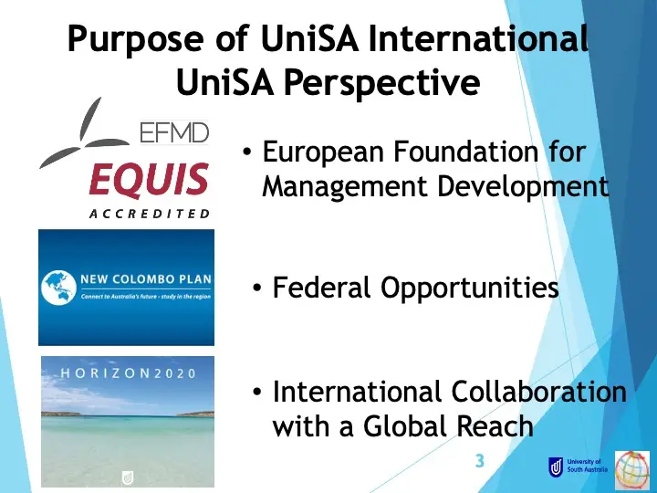 UniSA International study overseas marketing plan slide showing global partnerships and program purpose