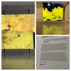 David Noonan's Mnemosyne exhibition at the Museum of Contemporary Art Australia featuring large-scale contemporary artwork exploring memory, imagery and visual storytelling.
