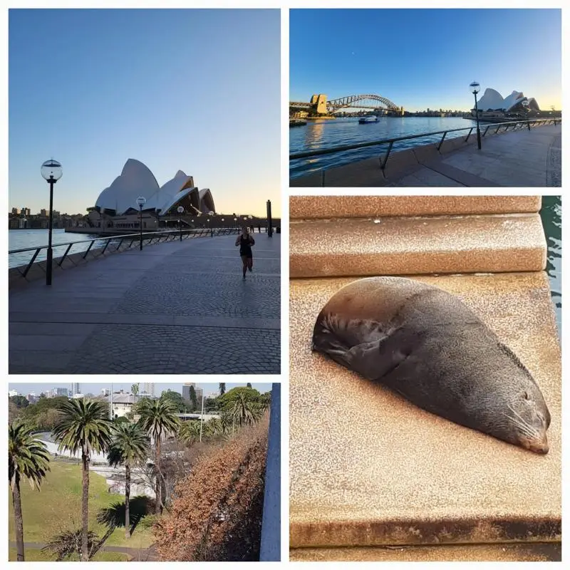 Sydney Opera House, Harbour Bridge, city parks and seal during a seniors travel adventure.